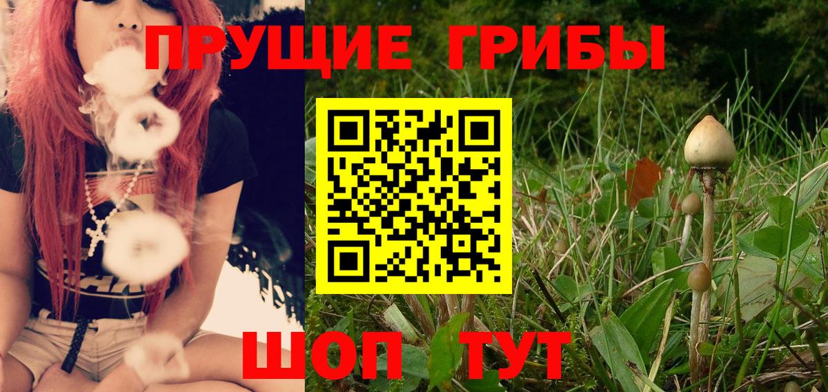 МЕТАДОН Калининград
