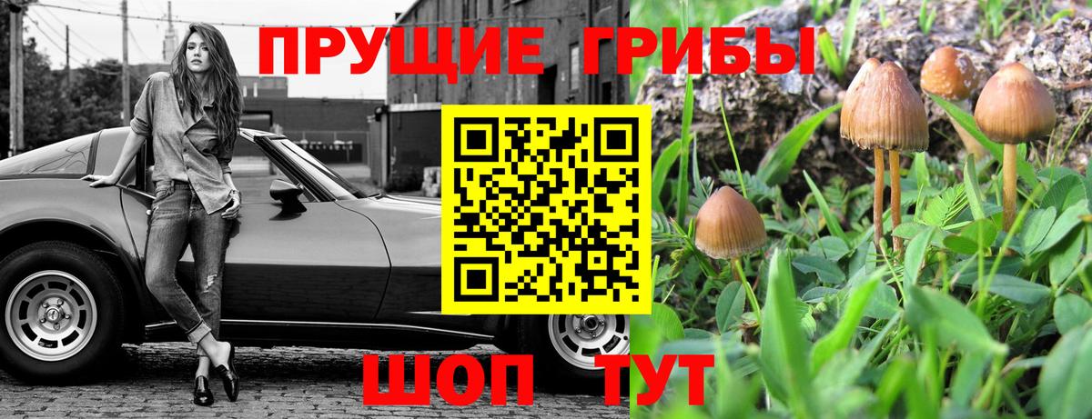 Калининград  дарнет шоп  Вход с VPN  Псилоцибиновые грибы мухоморы 